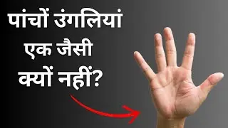 Why 5 Fingers Not Same? | Five Fingers will change your life | The Untold story 😱