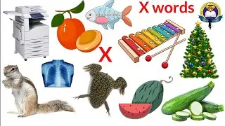 X Letter Words | Vocabulary Words With X | English Vocabular | X-ray | Xerus | Xmas tree | Xerox
