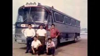 El Chofer - Los Felinos (Gacela Amealcense)