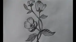 How to Draw a  flower with pencil step by step very easy