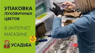 Как упаковывают ЛУКОВИЧНЫЕ ЦВЕТЫ🌷в интернет-магазине