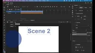 Creating scenes in adobe animate