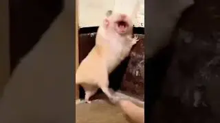 SCARED THE HELL OUT OF ME🤣JUST LIKE YOU ARE ON THE WEEKEND | A Beby Gemoy 😍🤭 