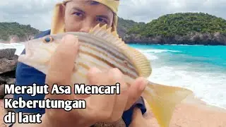 Merajut Asa mencari Ikan, cumi di tepi bibir Pantai langsung kita santap ikan dan cumi segar