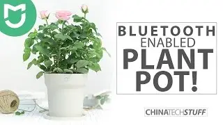 Xiaomi - Bluetooth Plant pot 