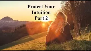 Part 2:  Protect Your Intution - Interview with Tom Davies