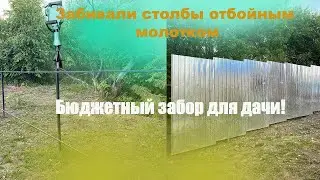 Бюджетный забор на даче своими руками!