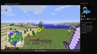 Minecraft fun