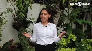 Conoce las preguntas más frecuentes sobre Paneles solares - GreenStation