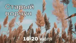 Старый ворчун