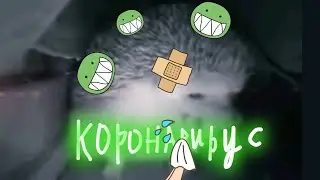 Ежик чихнул, обнаружили корона вирус
