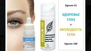 SIGNUM-31 и SIGNUM-100