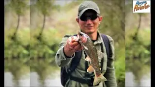 PESCA de TRUCHAS en INCREIBLE ARROYO de aguas CRISTALINAS - PESCANDO EN LA SIERRA