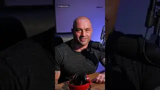 Joe Rogan slams Trump’s ‘horrific’ policies