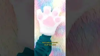 do i need to brush my paws? 