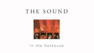 The Sound - Sense Of Purpose [Live] (HQ)