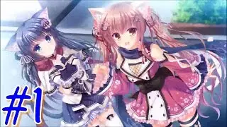 Ninjas that are NEKOS!!!- NEKO-NIN exHeart #1