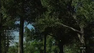 Another Hole in One