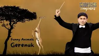 Gerenuk - by Aleksey Igudesman