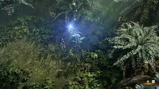 Lost Ark Sorceress Story #24 - Sweetwater Forest, Pirate Den Hard (Lvl 42 - 43)