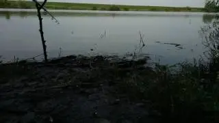 Ловля карася за 30секунд