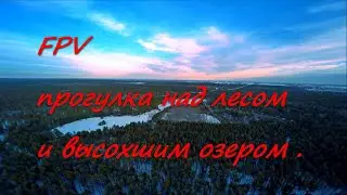 Полет FPV квадрокоптера над лесом и высохшим озером .