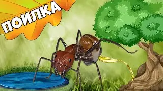 How to make a water bottle for an ant farm from a test tube or syringe