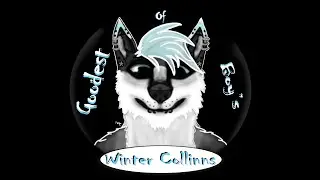 |🐺| Steps For My Mastery Journey |🐺| Full Sail University | MDL501-O | Section 1