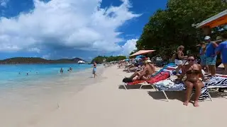 Virgin Islands Beach Walk - Coki Point - March 14, 2023 - St. Thomas, USVI