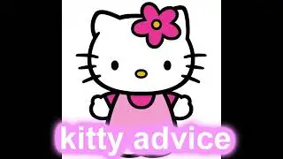 kitty advice
