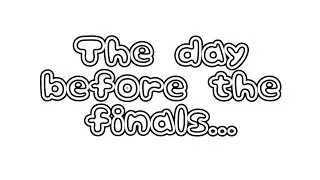 The day before the final (Expectation VS Reality)￼
