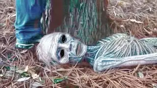 Scientists Find 800,000 Year-Old Alien In Congo And It’s Not What You Think!