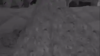 video 7 Helena & Zeudi amore 