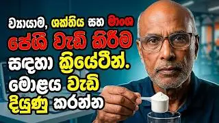 💥ව්‍යායාම, ශක්තිය, මාංශ පේශි වැඩි කිරීම,  🔥ATP ශක්ති නිෂ්පාදනය ආරක්ෂිත ක්‍රියේටීන් creatine