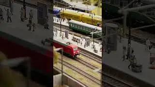 Про Поезда и Макет Огромной железной дороги