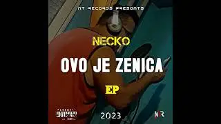Ovo je ZENICA