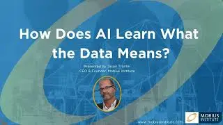 How Does AI Learn What the Data Means