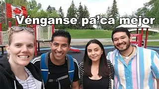 VERDAD O MENTIRA? Canada recibirá indocumentados de USA.
