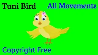 Tuni Bird All Movements On Green Screen | Tooni Bird All Pose On Green Screen | Copyright Free