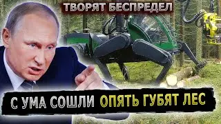 ОТ ЗВОНКА ПУТИНА ЗАСТРОЙЩИК НАВАЛИЛ В ШТАНЫ 