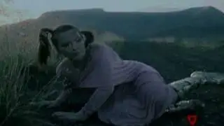 Björk - Triumph Of A Heart