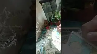 Ваш мужчина сегодня.....🧐