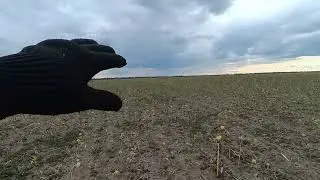 А ви таке робите з пайовиками? 😜