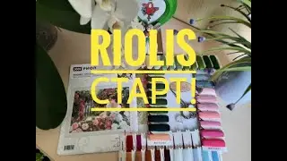 Riolis, Риолис В саду 2115 старт и первые крестики!