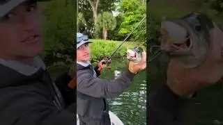 Cara Unik Memancing Cepat 😱 #fishing #mancingmania #shorts