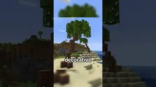 Mini Mod Reviews - Ecologics