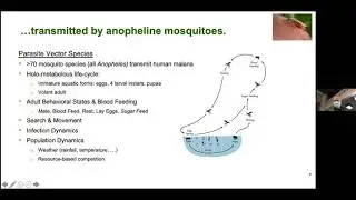 “Robust Analytics for Malaria Policy"