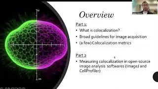 Exploring and Understanding Colocalization Metrics