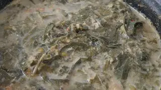 menusederhana !! sayurdaunsingkong