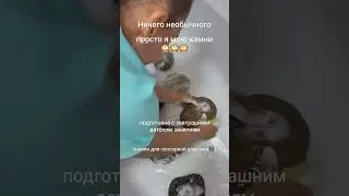 Мою камни🪨, привезённые с моря, для сенсорной дорожки #моторика #развитие #сенсорика #плоскостопие